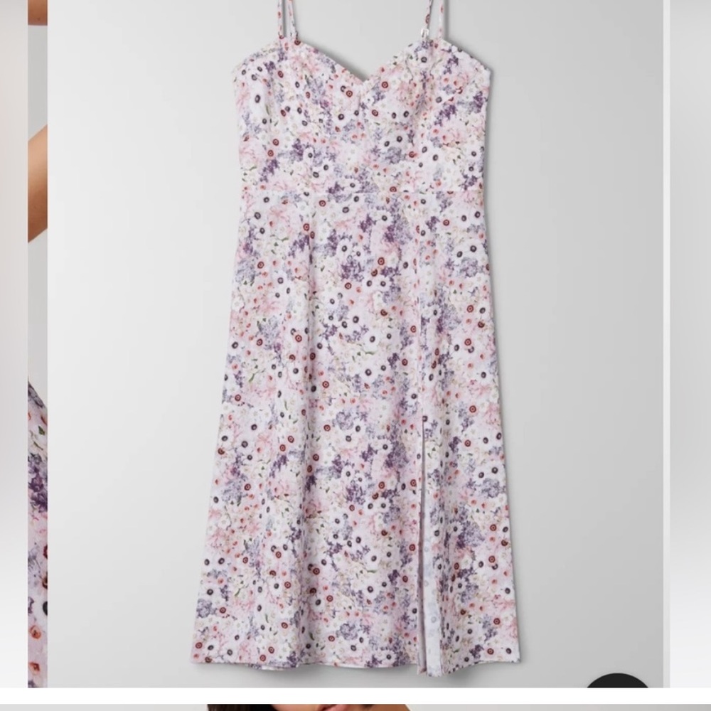 Aritzia Sunday best viola dress